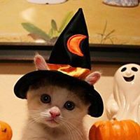 Sergio Perez Photo 31