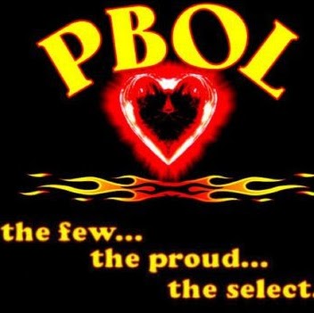 Melissa Shields Photo 14