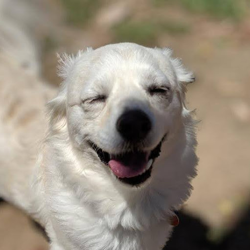 Jenny Truong Photo 6