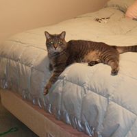 Deborah Moser Photo 13