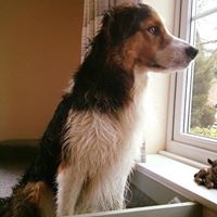 Martin Matthews Photo 24 Martin Matthews Photo 24