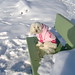 Tiffany Snow Photo 40