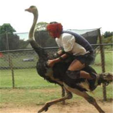 Kimberly Pratt Photo 31