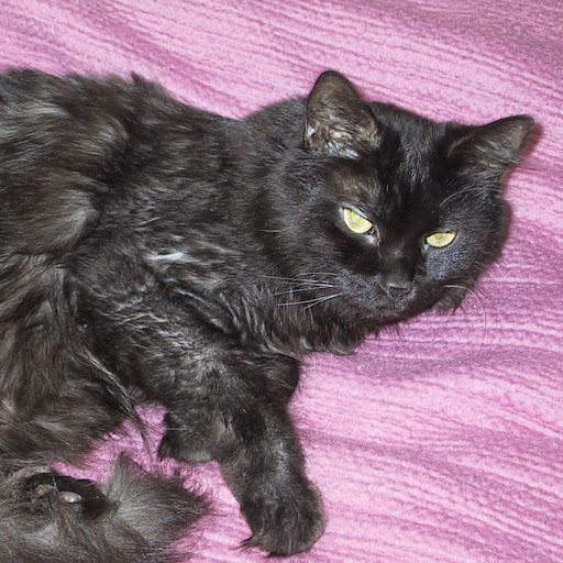 Sandy Mccarthy Photo 37