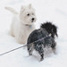 Stuart Snow Photo 26