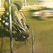 Randy Wolfe Photo 32