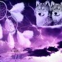 Joann Kelly Photo 15