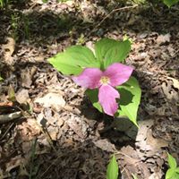 Timothy Storey Photo 20