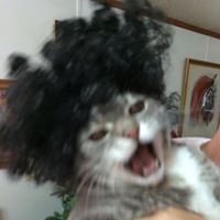 Steven Rowell Photo 3