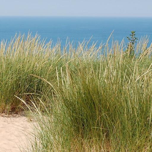 Shawn Everly Photo 9