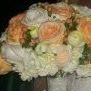 Dianne Fritz Photo 10