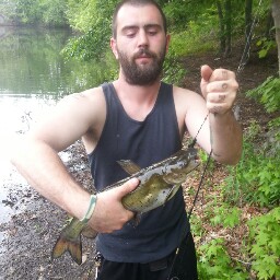 Steven Irwin Photo 11