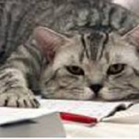 Randolph Peters Photo 12