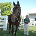 Henry John Photo 15