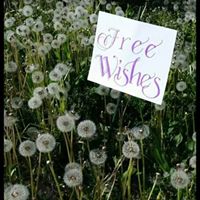 Sheryl Merritt Photo 13