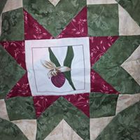 Michelle Albrecht Photo 6