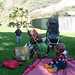 Barbara Fletcher Photo 26
