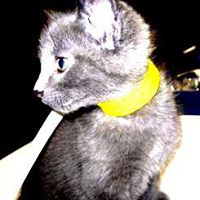 Eddie Herman Photo 7