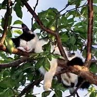 Tonya Barker Photo 27