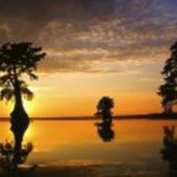 Linda Ward Photo 11