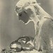 Dolores Meyer Photo 25
