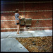 Kristine Lombardo Photo 9