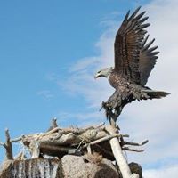 David Sheets Photo 33