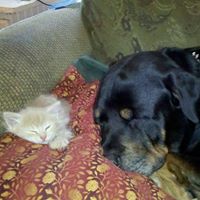 Edward Cody Photo 16