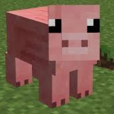 Missy Robbins Photo 12