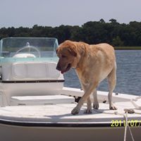 Christine Yoder Photo 19