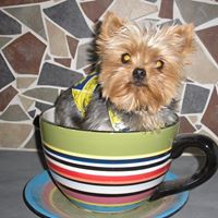 Katherine Bennett Photo 22