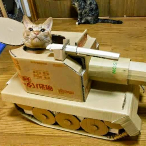 Patrick Cote Photo 20