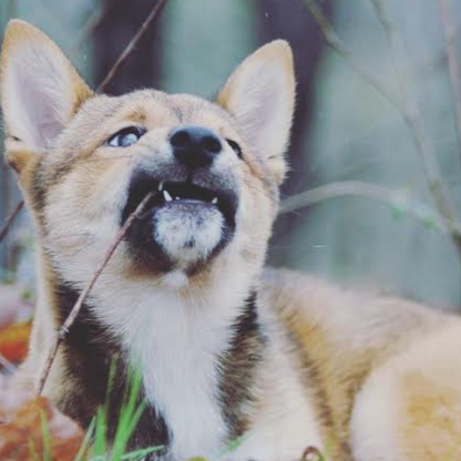 Jessie Jones Photo 5