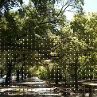 Timothy Liu Photo 22