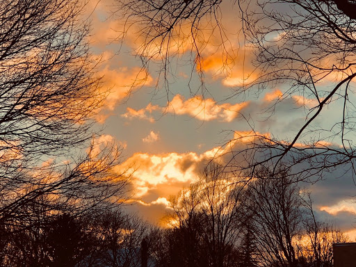 Robert Clary Photo 17 Robert Clary Photo 17