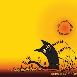 Stacy Graves Photo 14