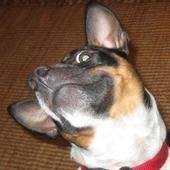 Timothy Kraemer Photo 7