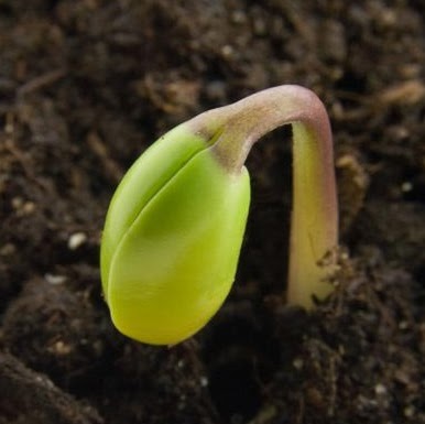 Heather Sheppard Photo 39