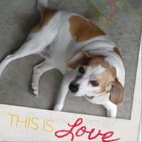 Jessica Whitlow Photo 29