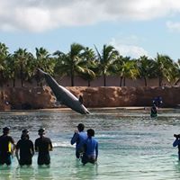 Stephanie Kindle Photo 8