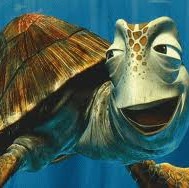 Steven Irwin Photo 15