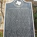 Timothy Layman Photo 11