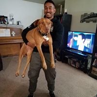 Brian Mcghee Photo 15