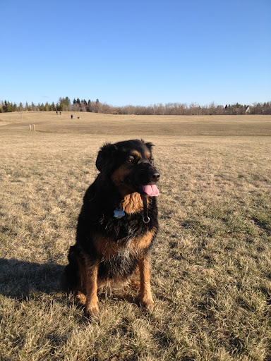 Darryl Wallace Photo 10