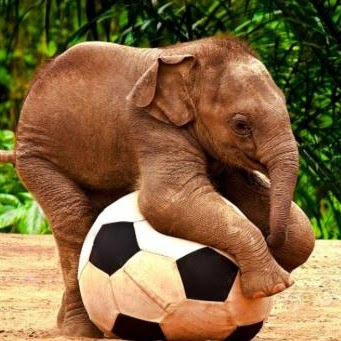 Laurie Mueller Photo 3