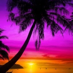 Megan Drake Photo 14