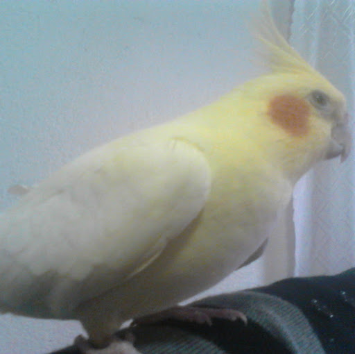 Gloria Urbina Photo 34