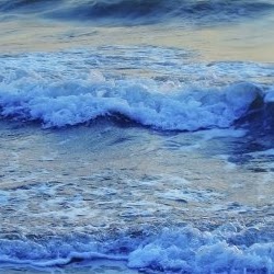 Elizabeth O'Brien Photo 28