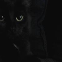 Shauna Mcdaniel Photo 9