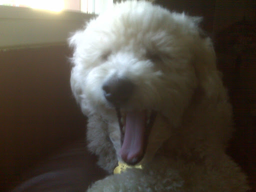 Bruce Danner Photo 10